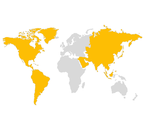 Our partnets all over the world